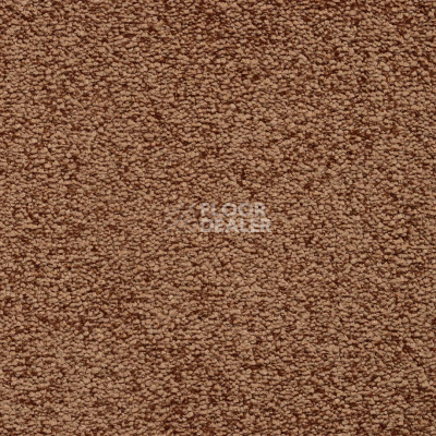 Ковролин Bonkeel Parliament Terracotta фото 1 | FLOORDEALER